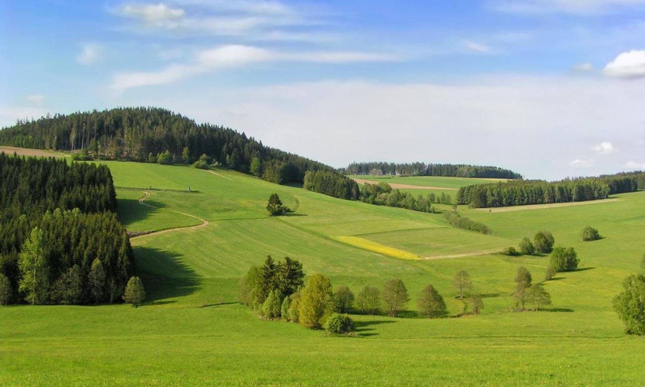 Hotel Brunnwald Bad Leonfelden Esterno foto